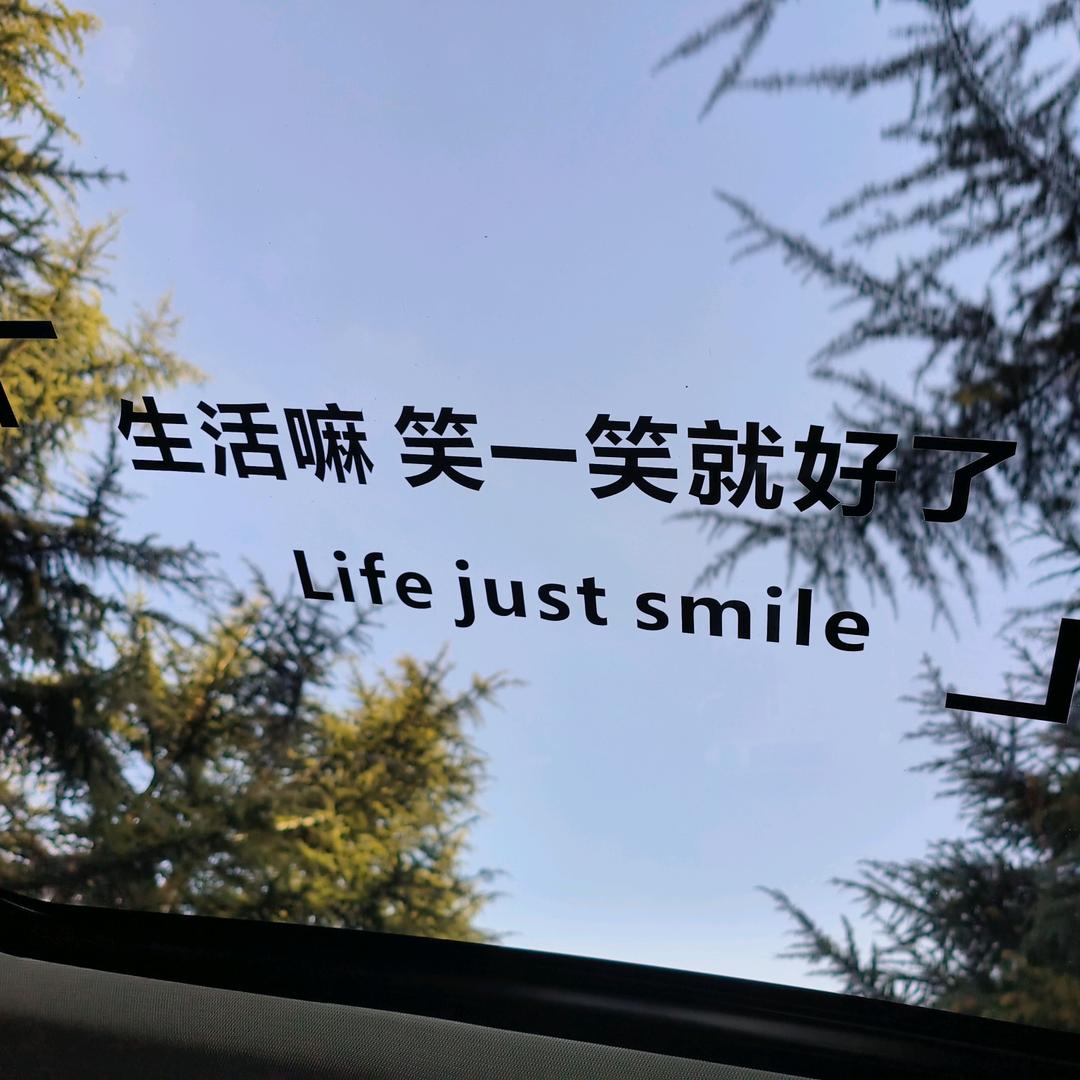 L•᷄ࡇ•᷅D
