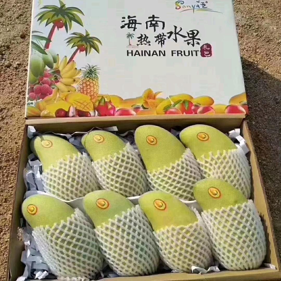 来自海南的芒果？？
