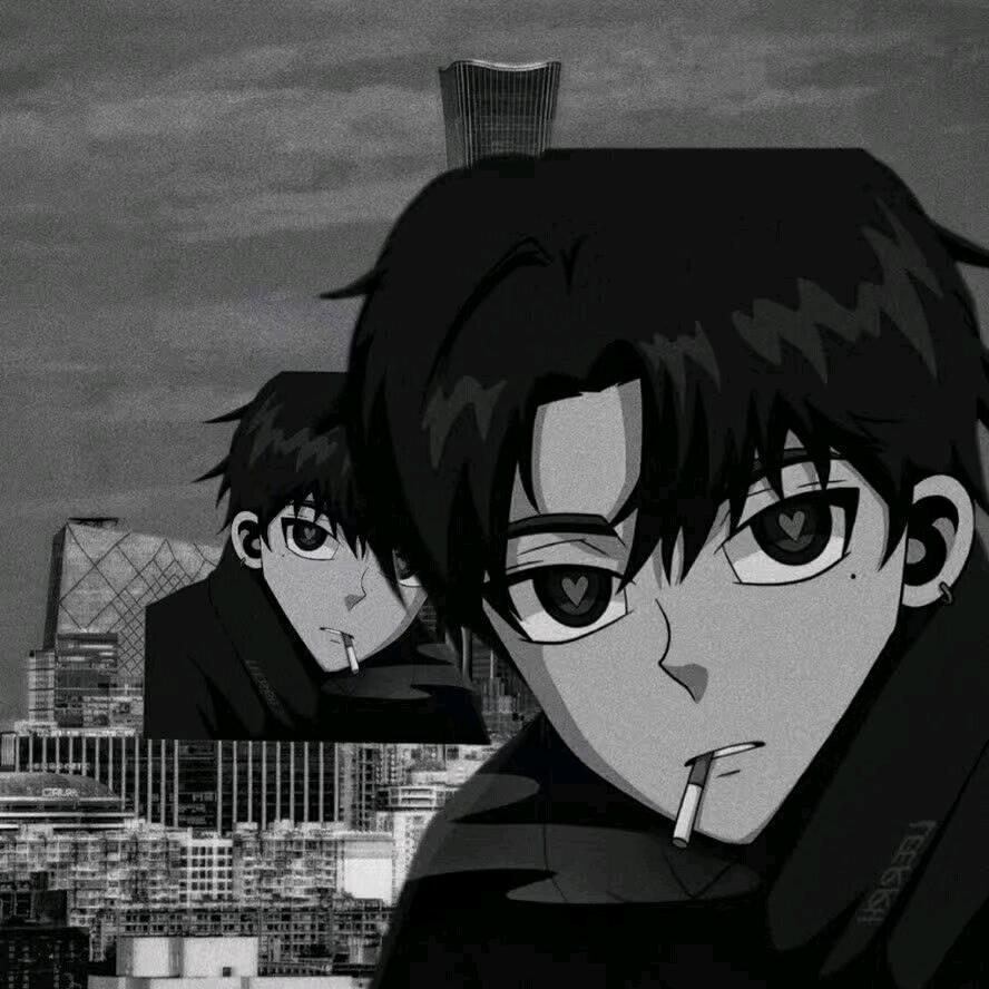 夜枫淮