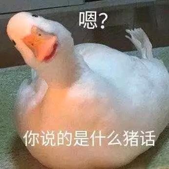 伤疤还在疼