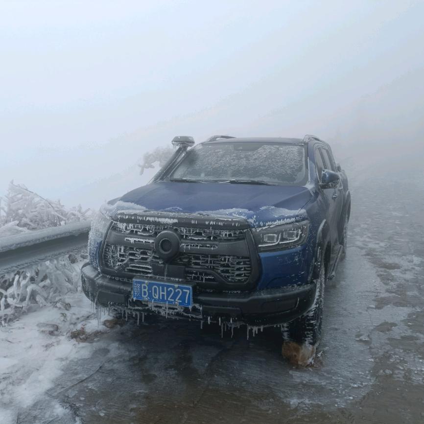 皮卡邱。（土狗养殖）