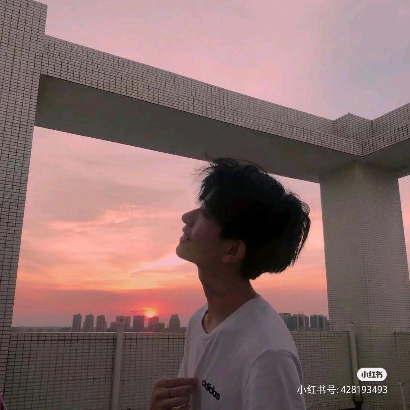 南栀北辰