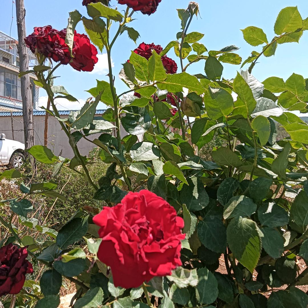 平安建康才是褔