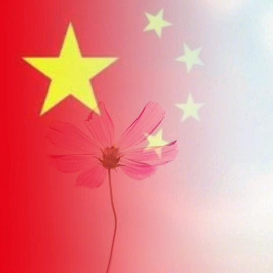 喵了个咪的
