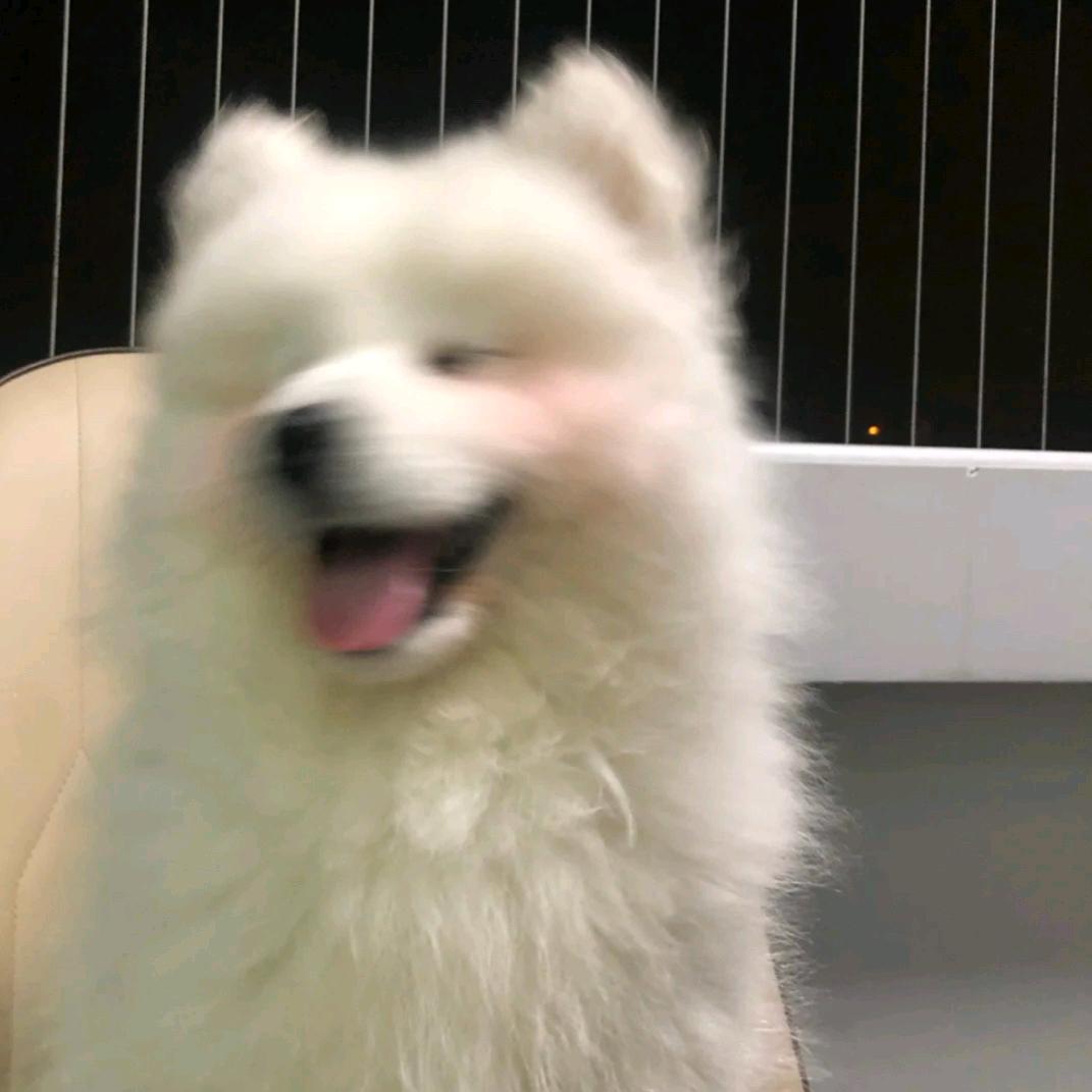 追风