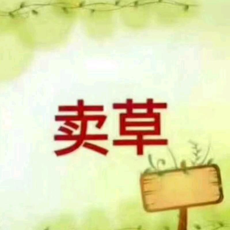 安徽省三棵草