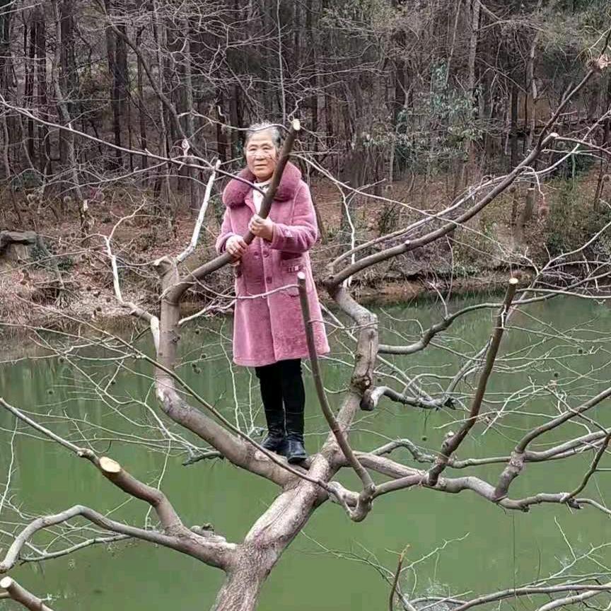 余，，