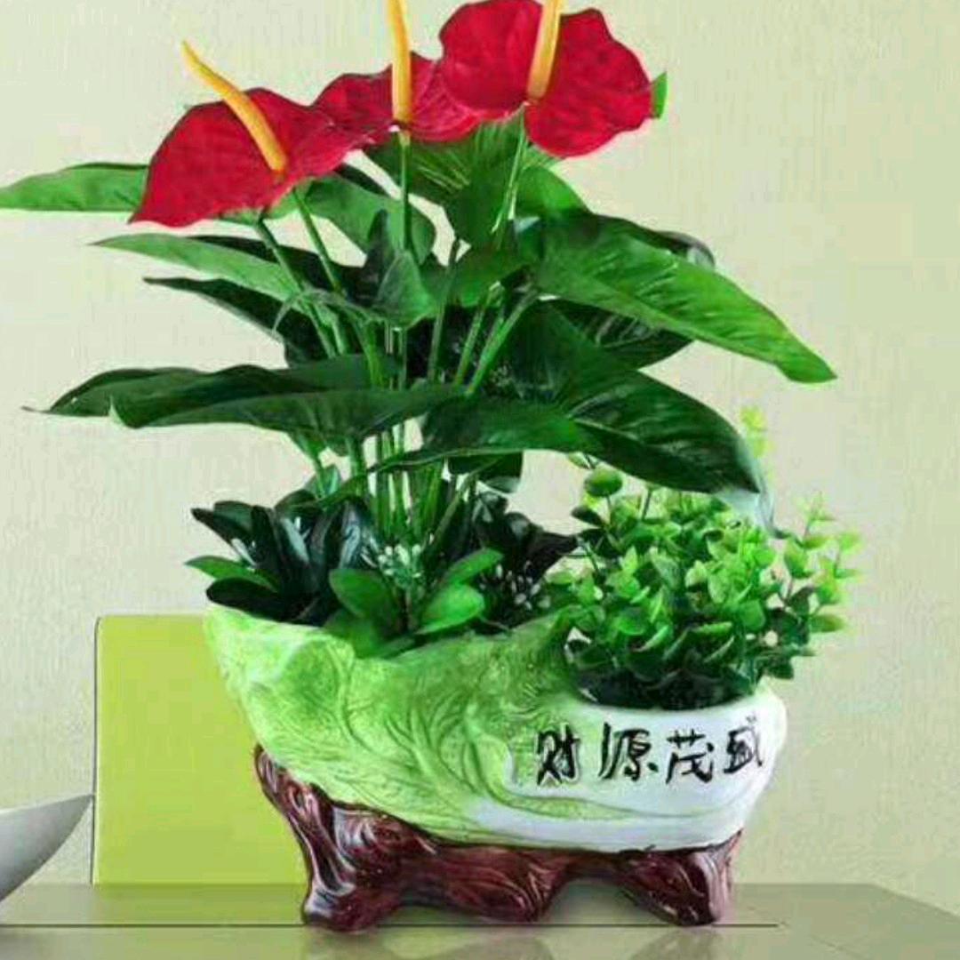 六叶草