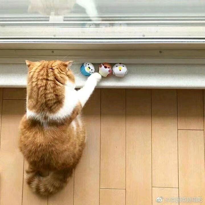 网络空间