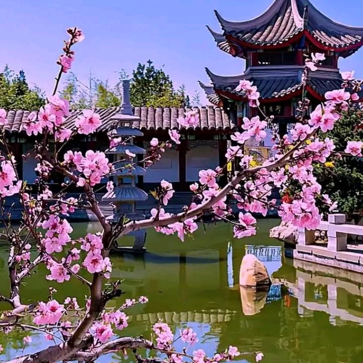 快乐妹