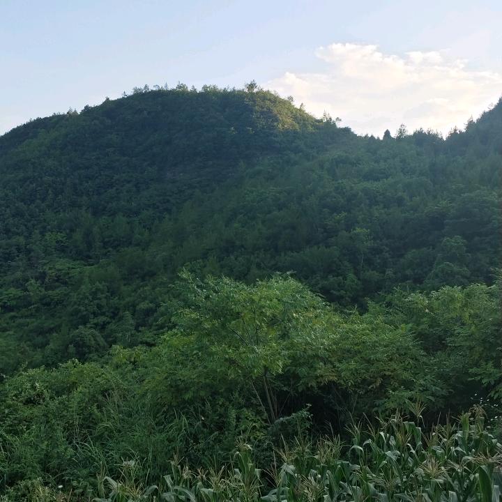 ☞海军哥☜