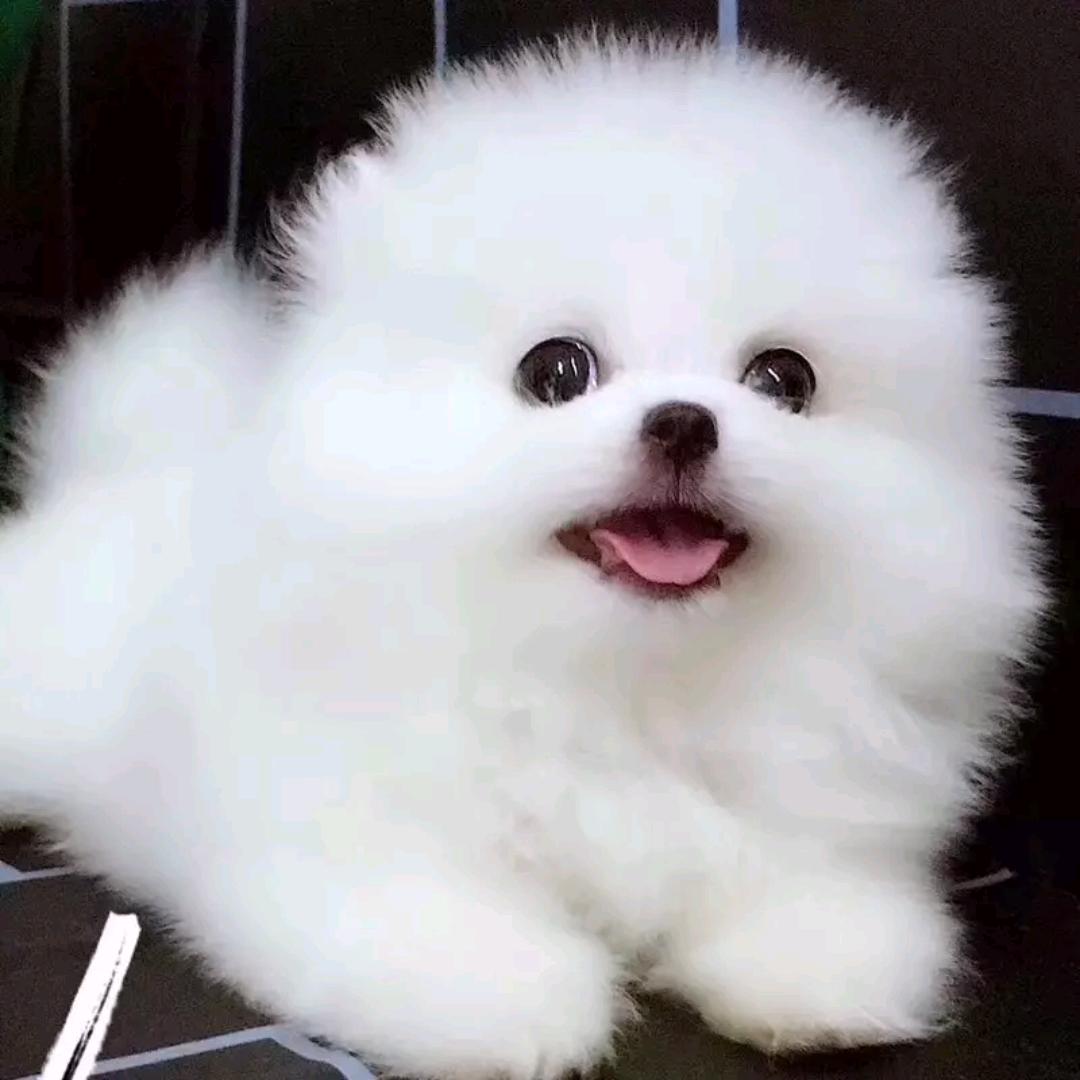 随缘就好