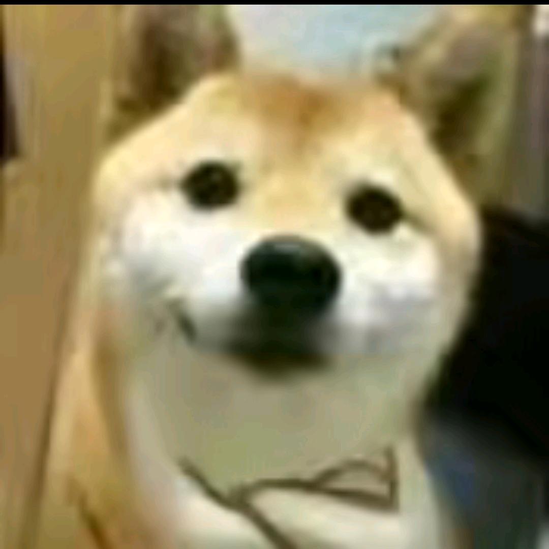 汪