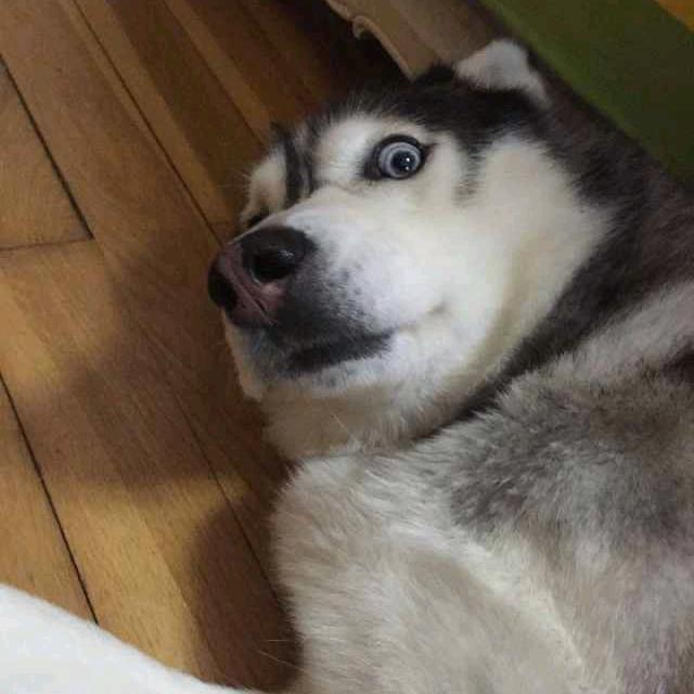 糖炒板栗