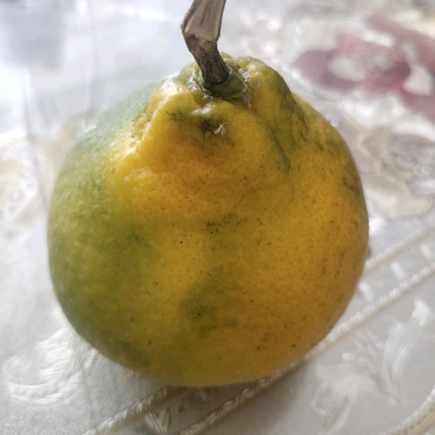 弓箭手大作战