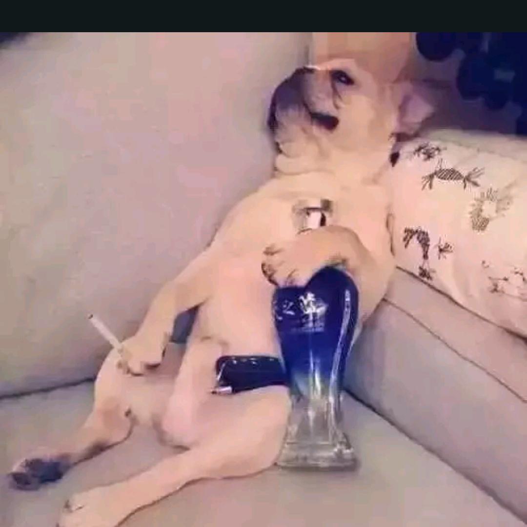可乐叔
