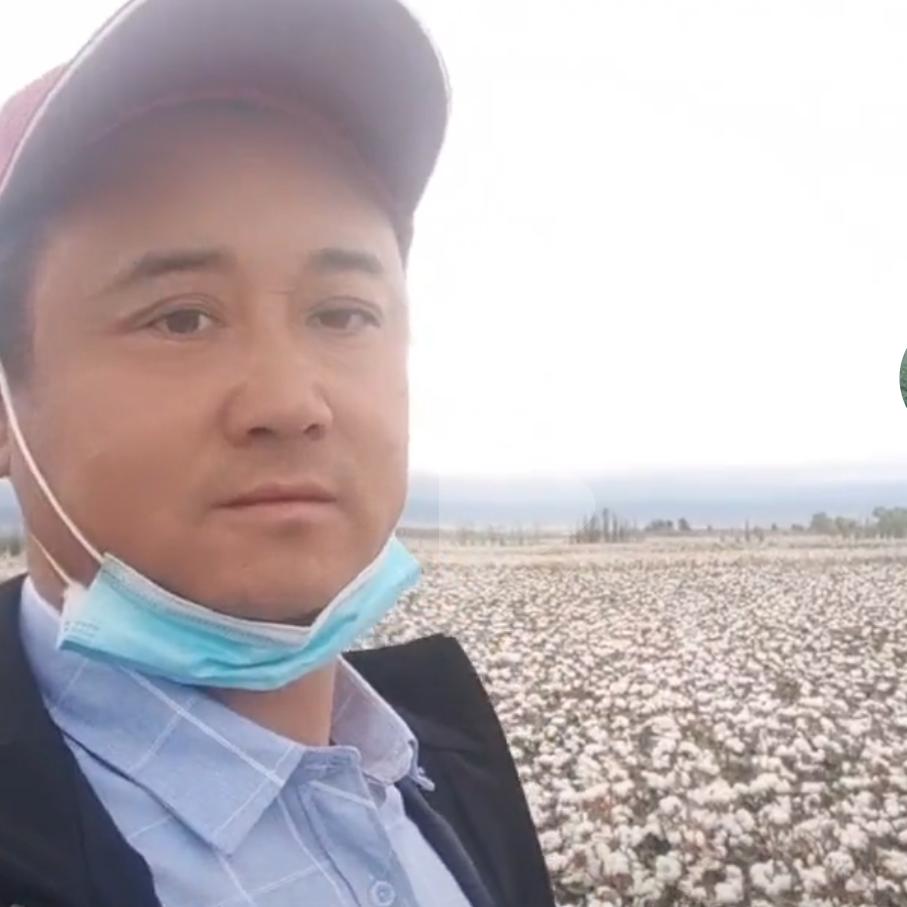 王光辉