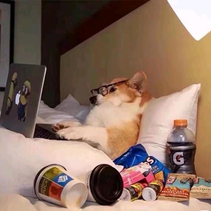 刹那芳华胜似萤火微光