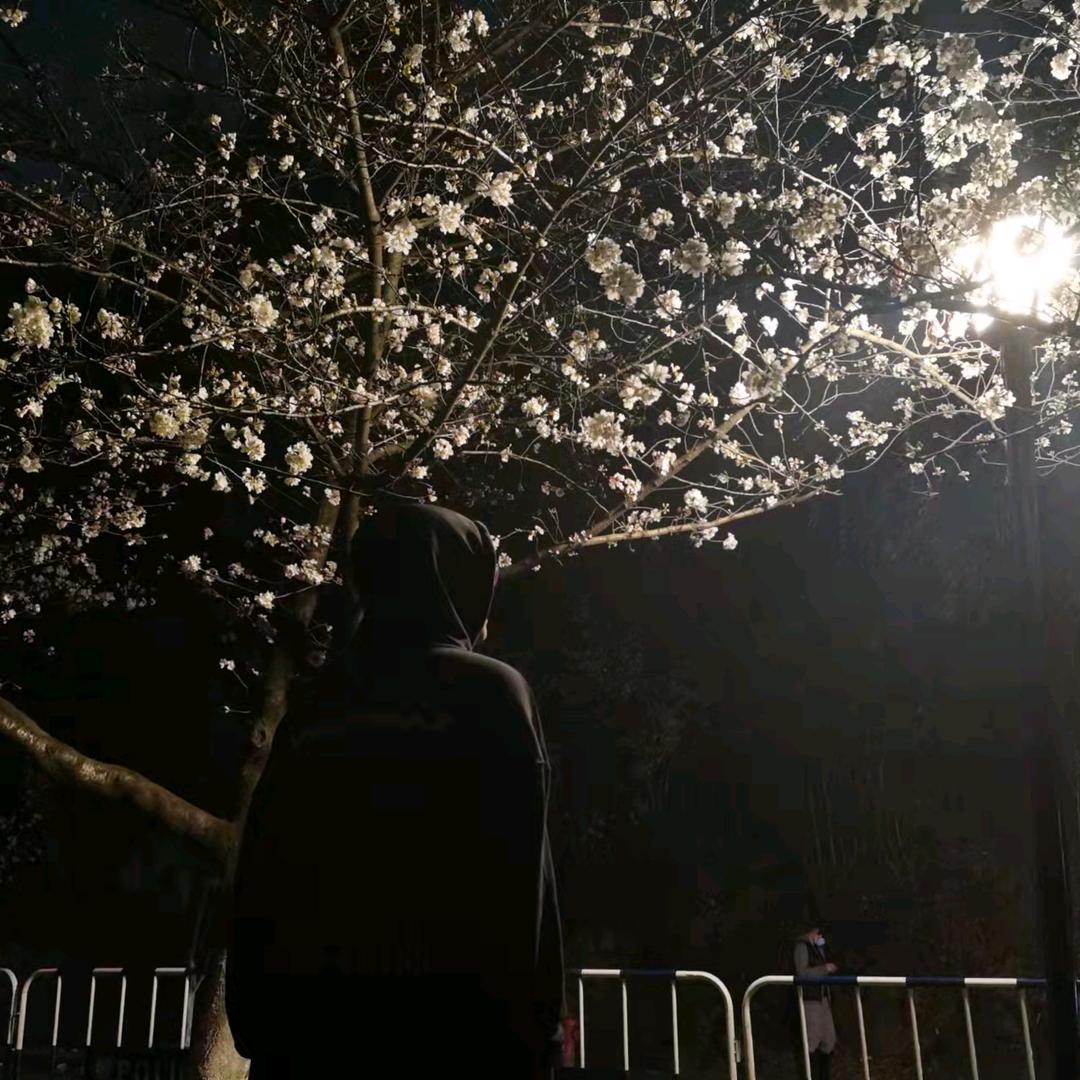 颂
