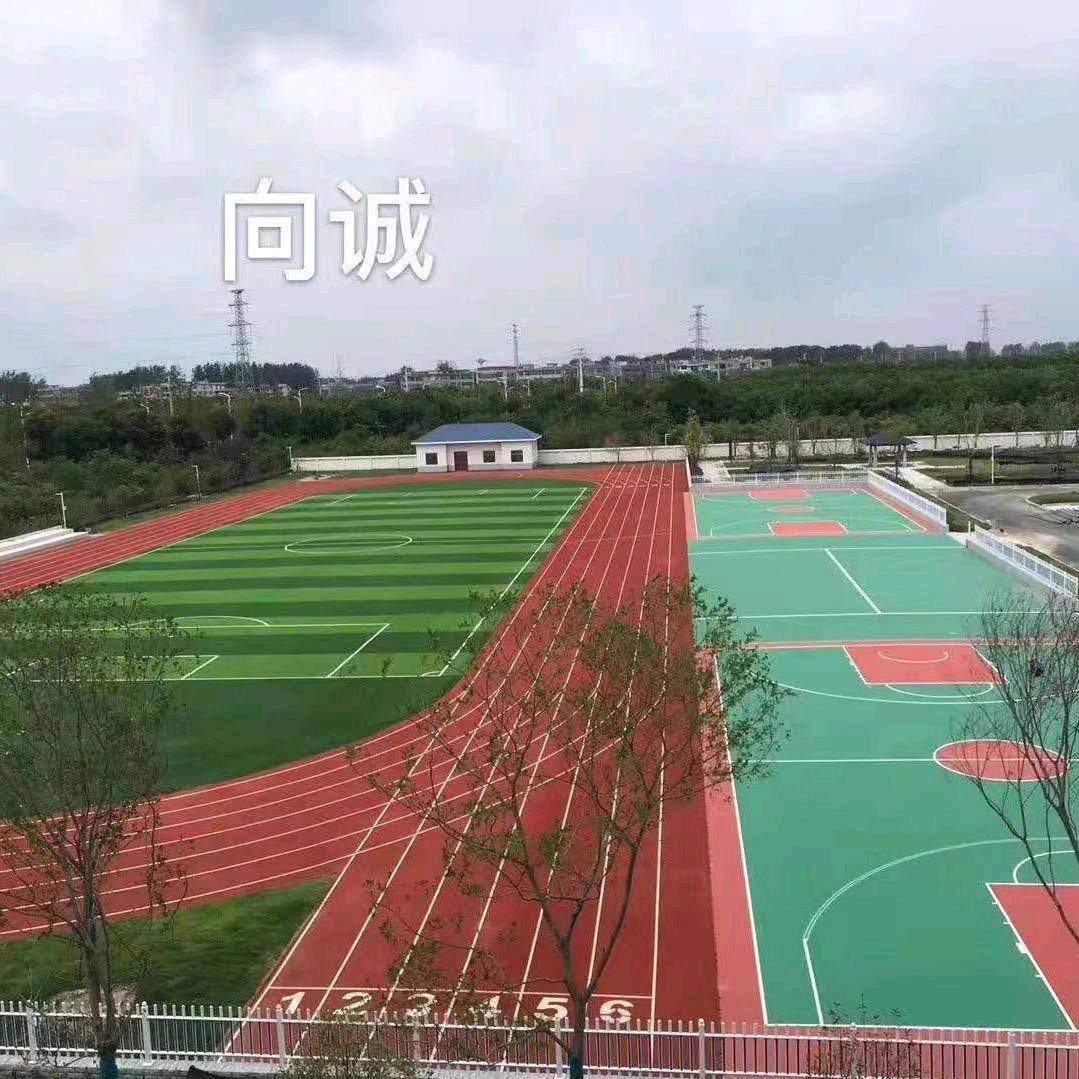 江西向诚球场跑道材料潘多拉