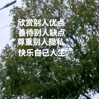 李理