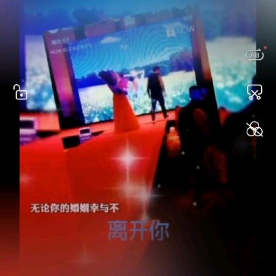 单身女人