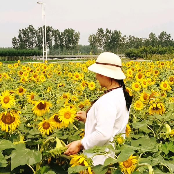 芳～华