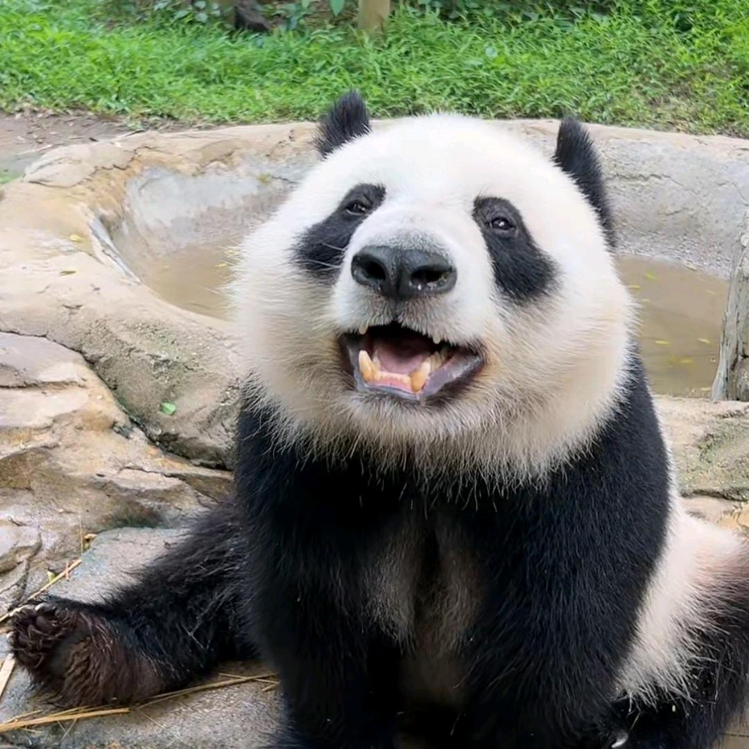 :-D晓五悦悦头像