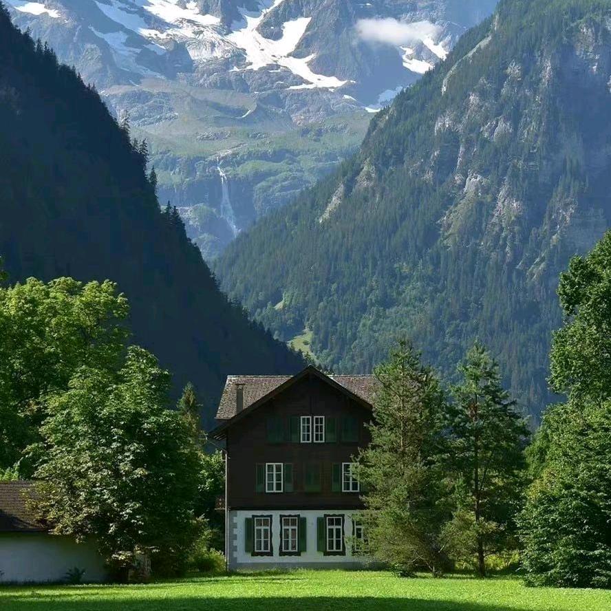 🐲龙哥🐲🇨🇳🇨🇳🇨🇳