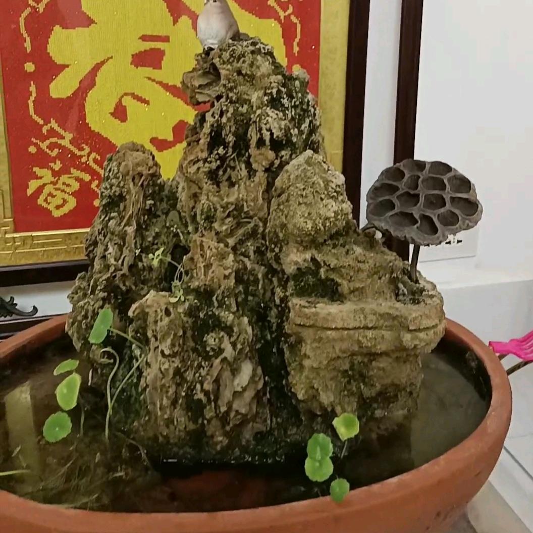 清涼一杯水