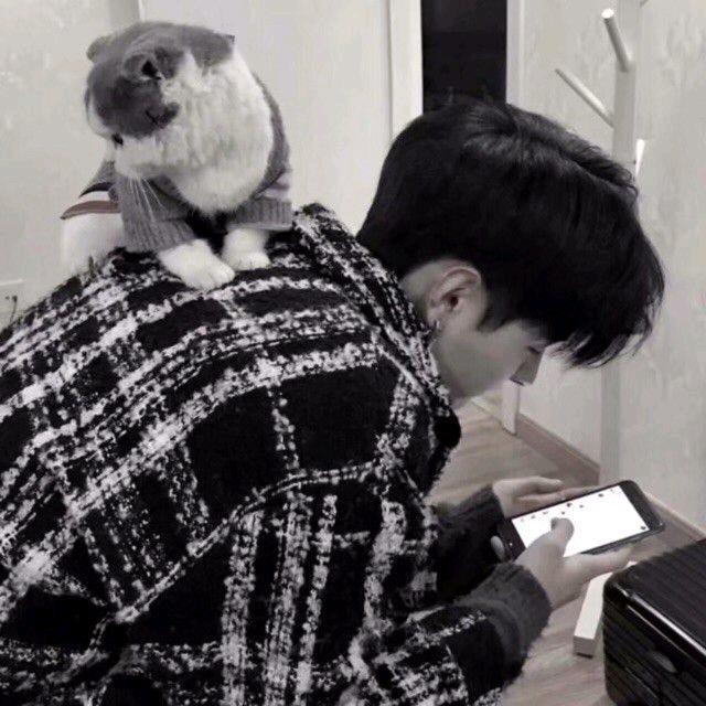 YYY.
