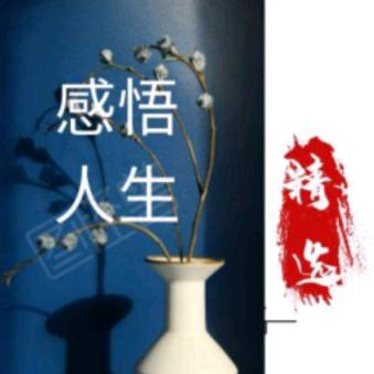 @感悟人生