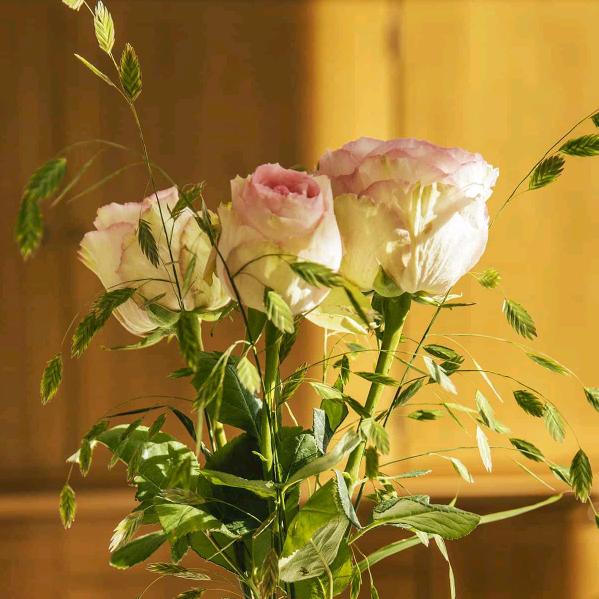 花开富贵，美好人生！