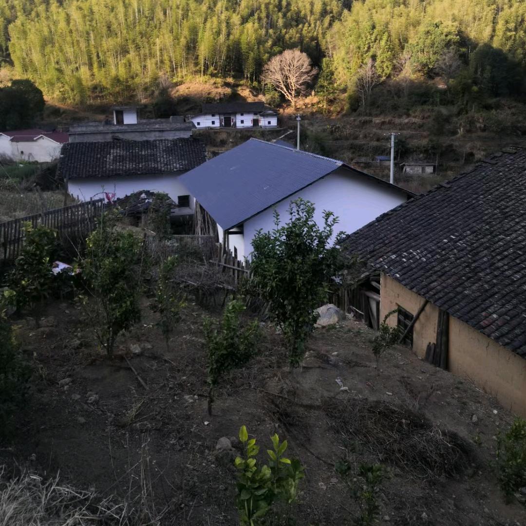 农村晓燕