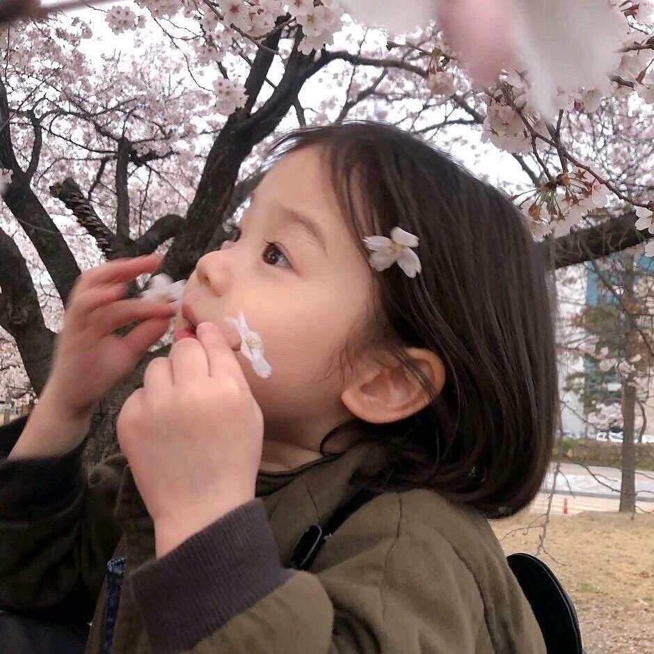 芋泥独角兽泡芙蛋糕