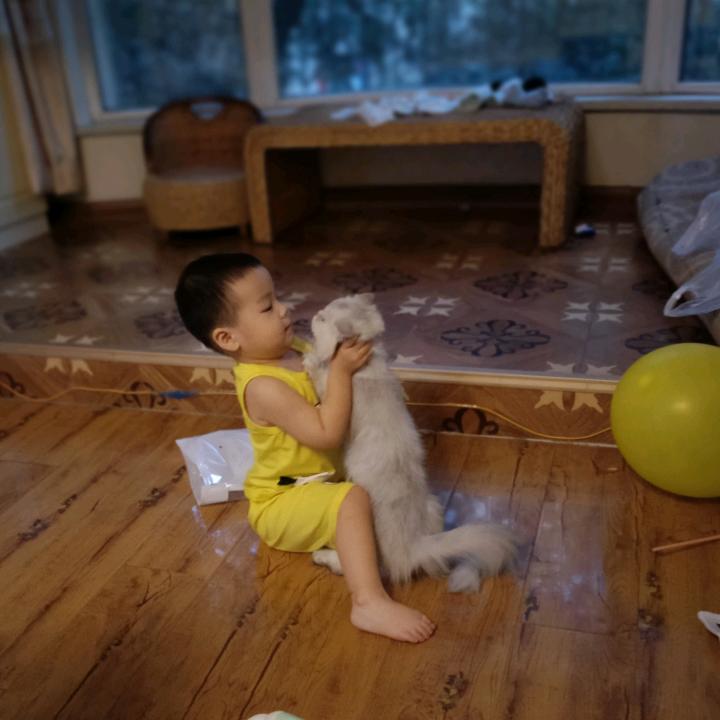 小宝爱睡觉