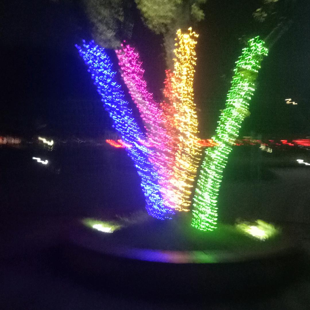 杨军旺