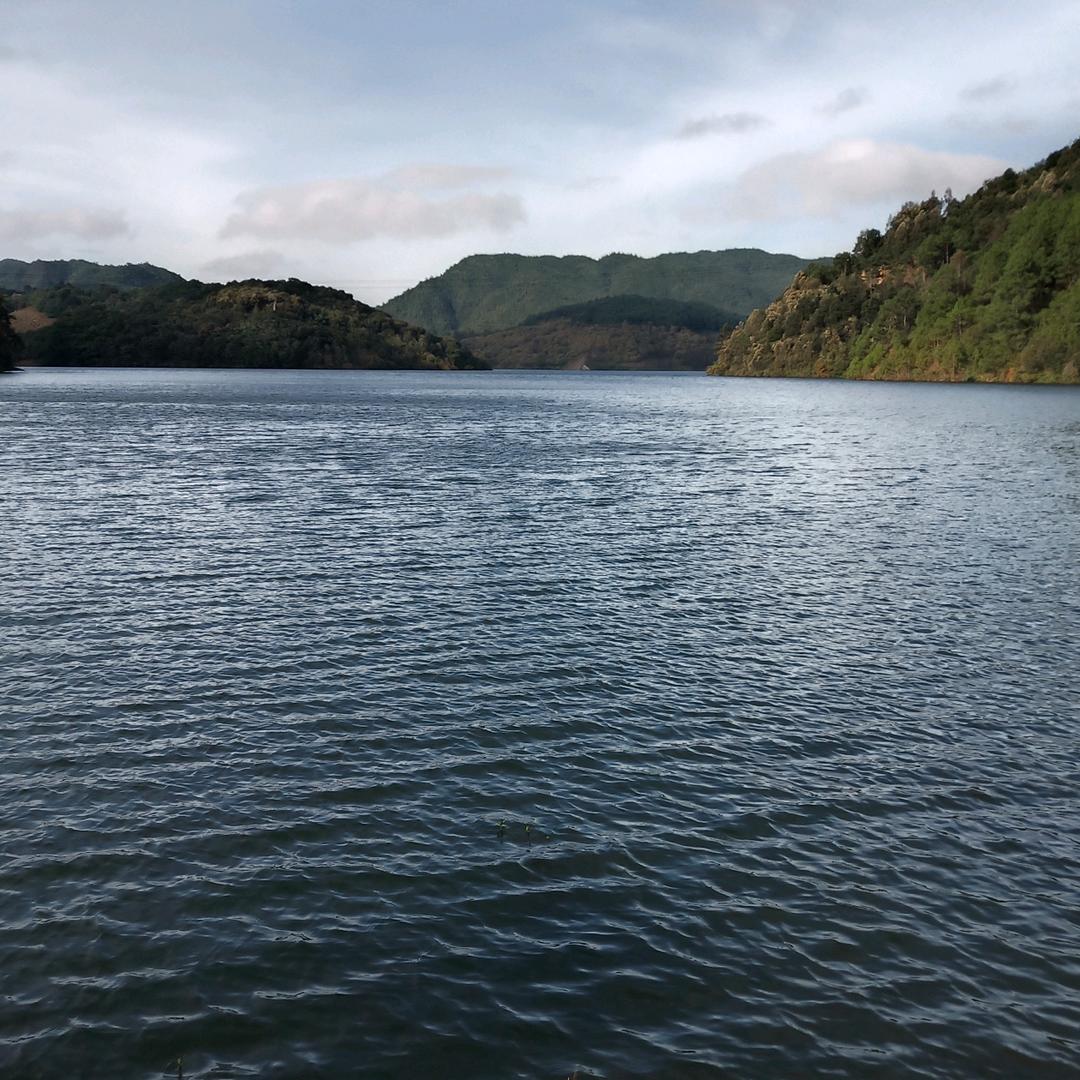 远方的战友(青山育好苗)