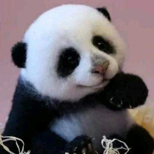 小熊123