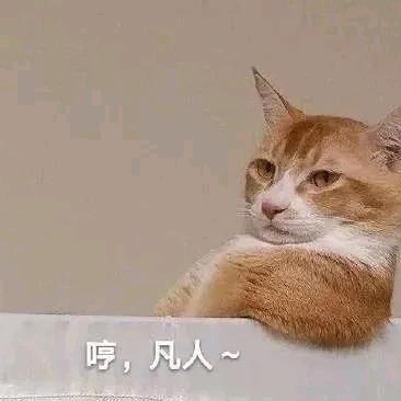 哈…哈哈哈(见过张艺兴版)