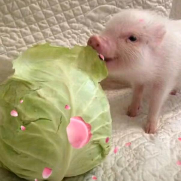 人生如戏，戏如人生。