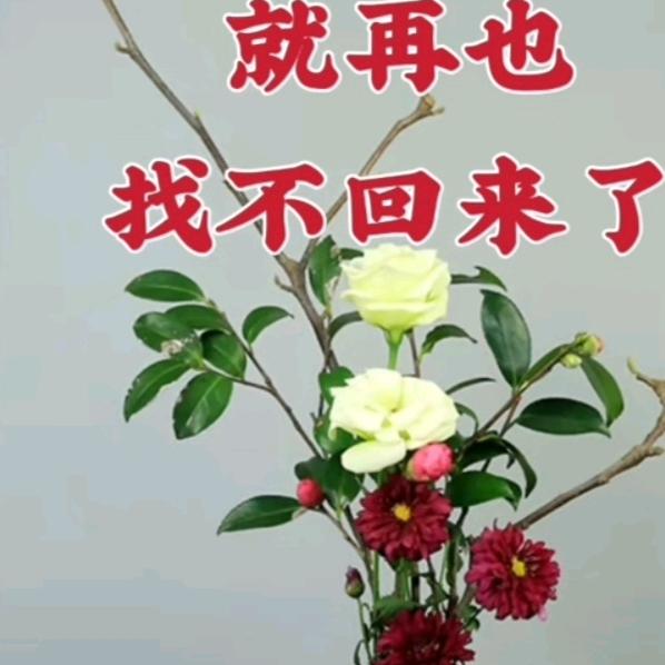 404，孤独很狼狈