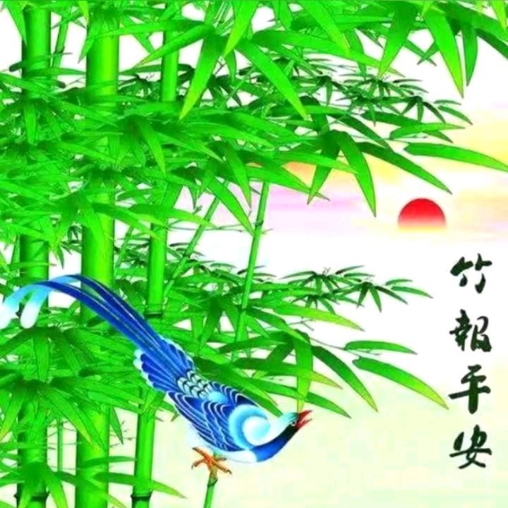 学无止境
