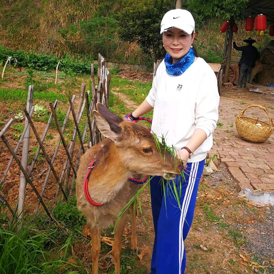 广丰鹿苑农家乐