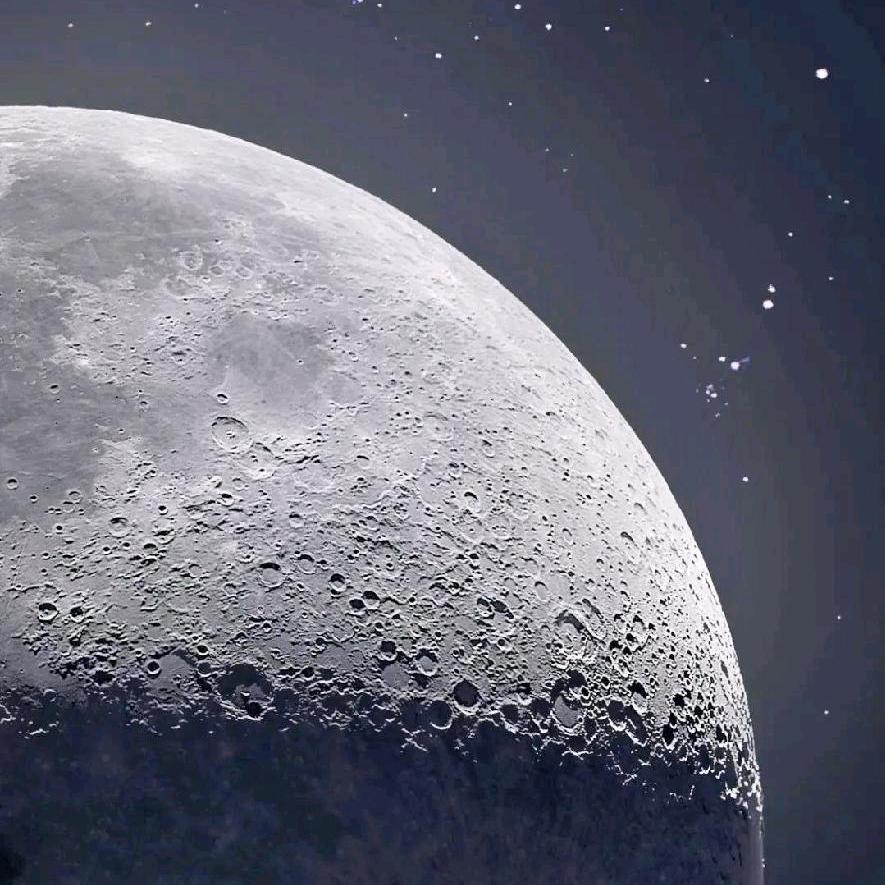 福气满满 四季发财