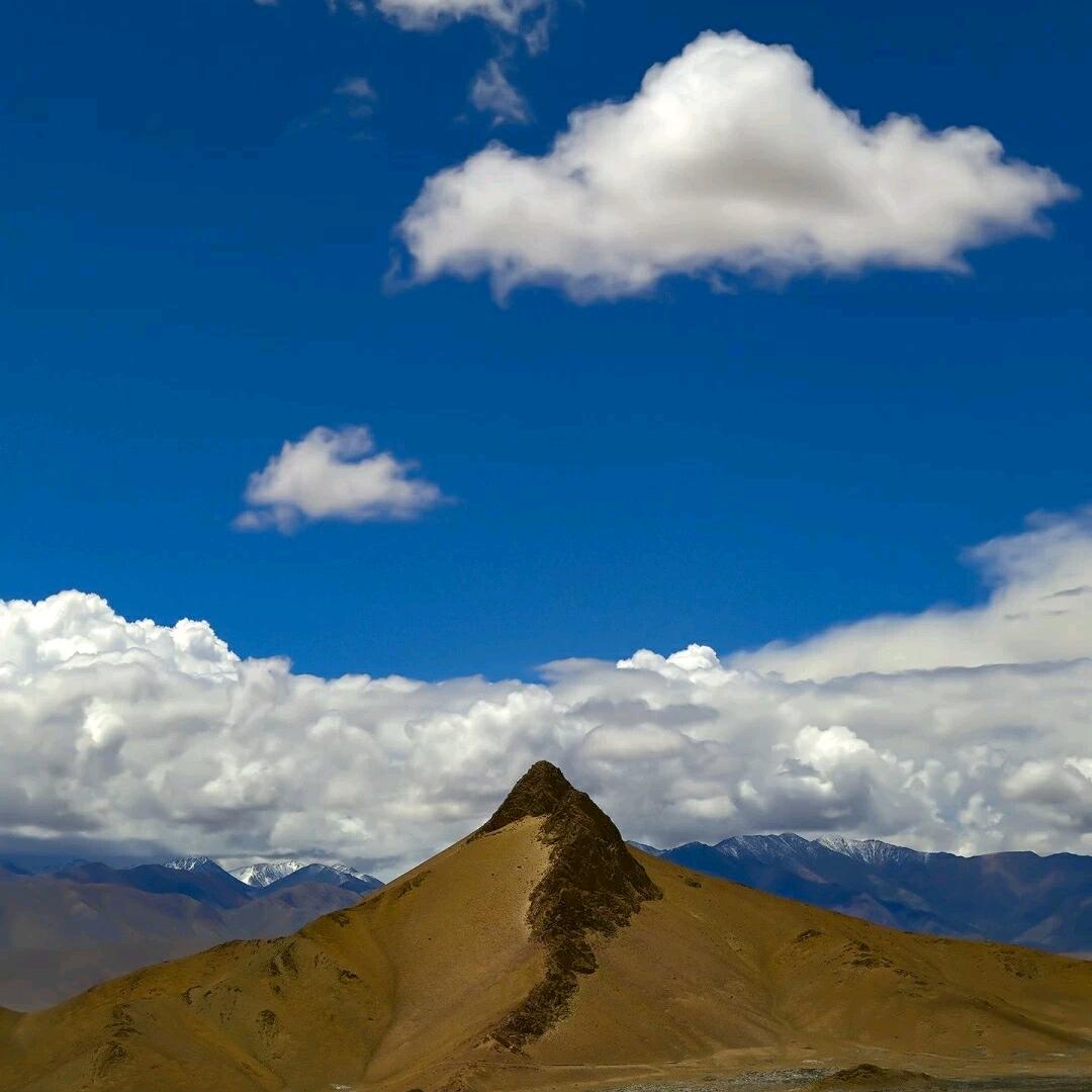 同舟共济⁹¹⁸⁸