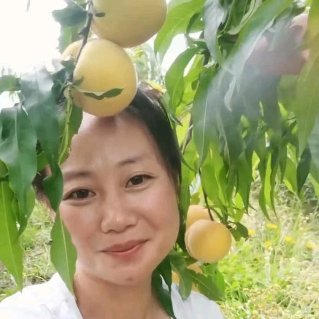 圆梦凉山黄金桃