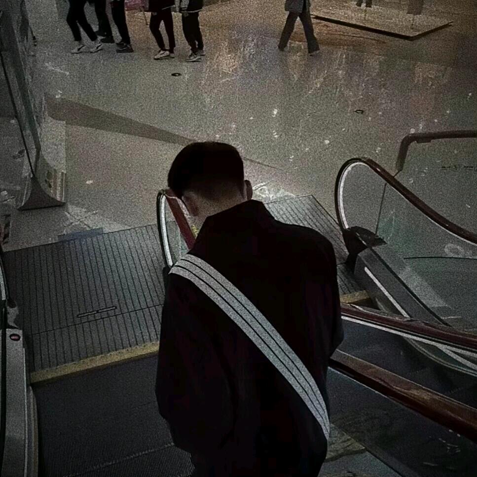花落皆是结局🕊