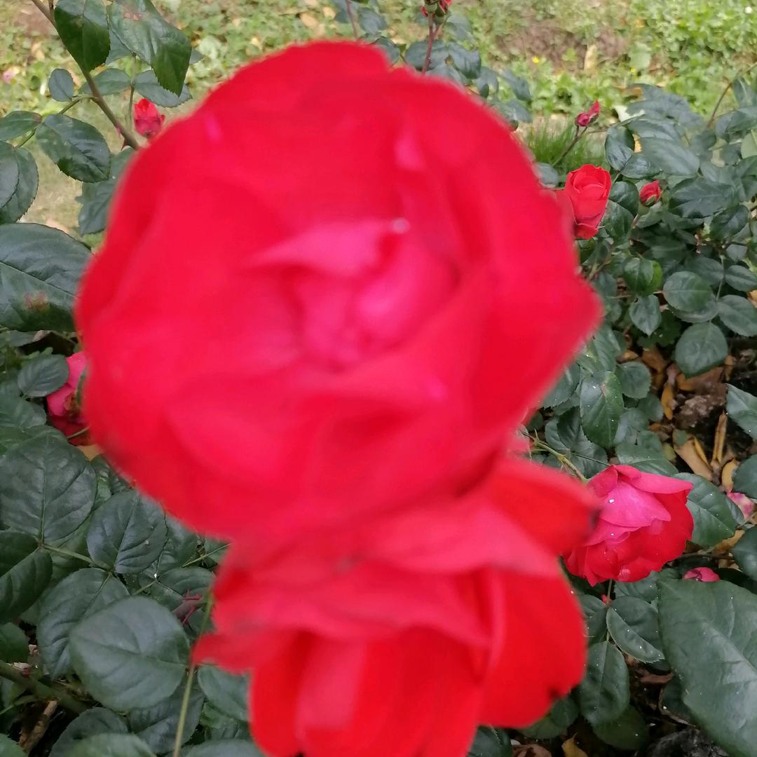 老来开心