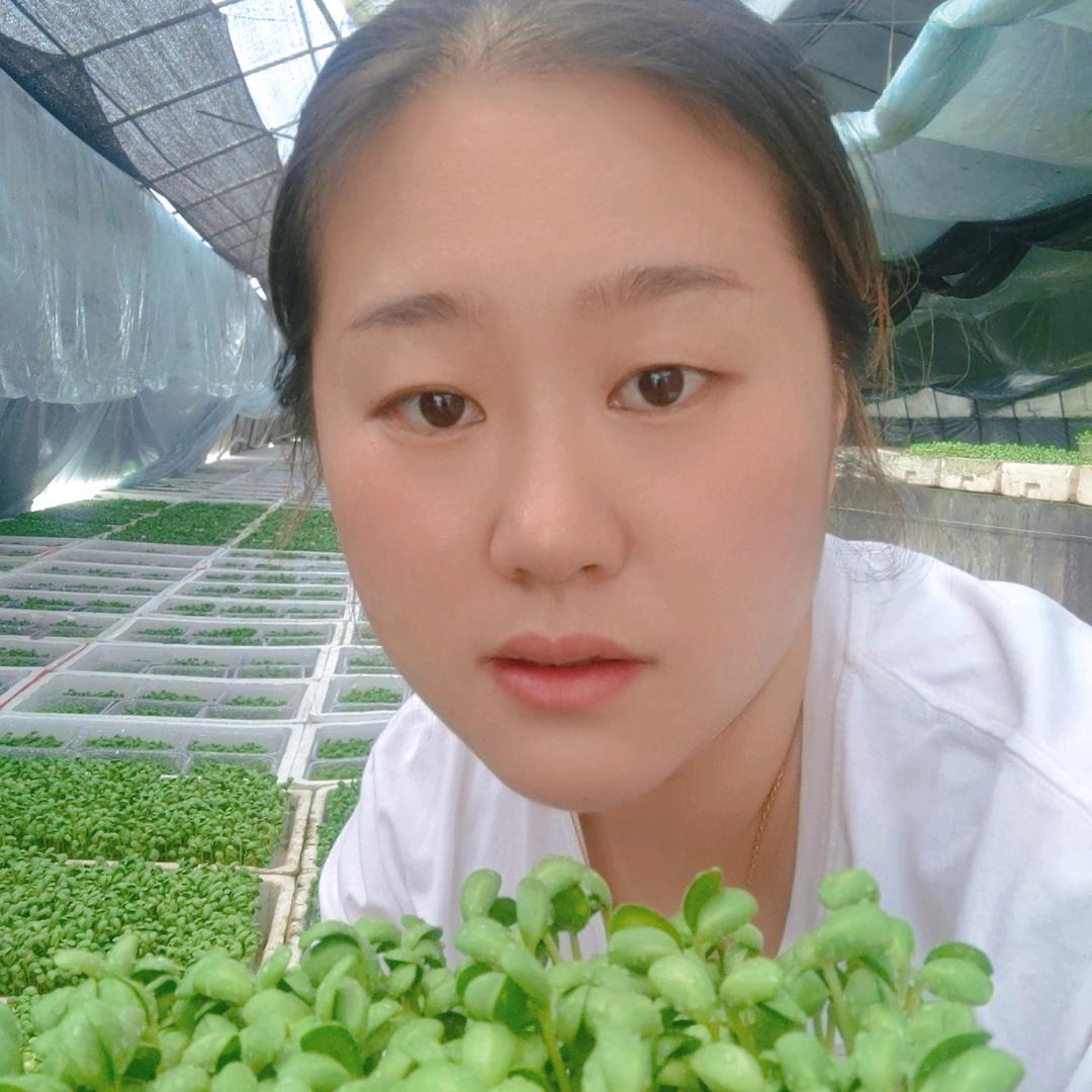 苏苏在种菜